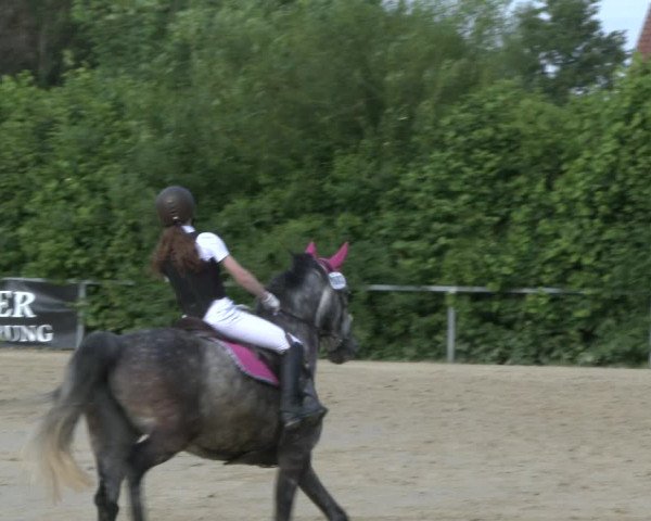 Reitturnier Fröndenberg 2019