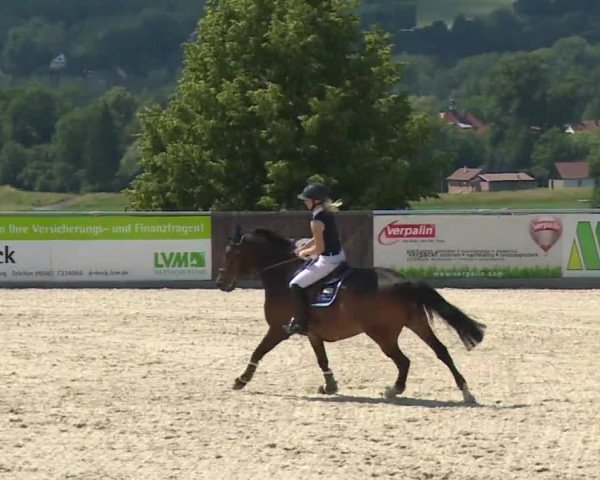 Reitturnier Küps/Ofr. 2019