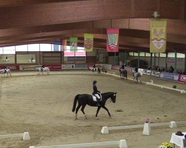 Steinhagen Classics 2021