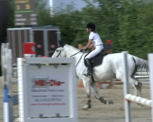 Reitturnier Fröndenberg 2019