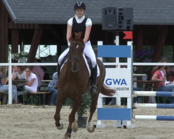 Reitturnier Fröndenberg 2019