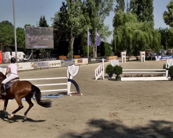Reitturnier Viernheim 2019