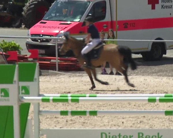 Reitturnier Küps/Ofr. 2019