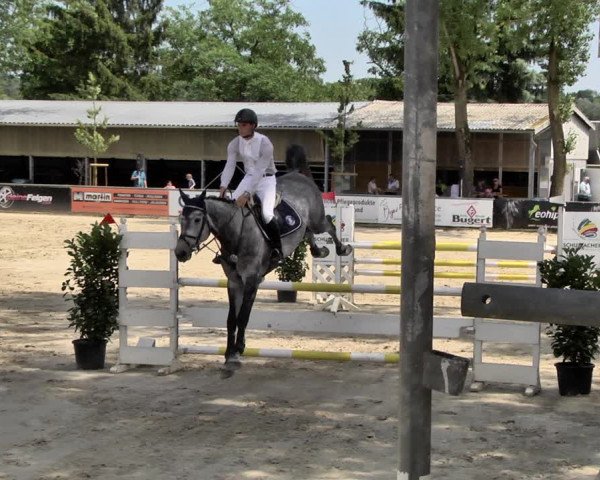 Reitturnier Viernheim 2019