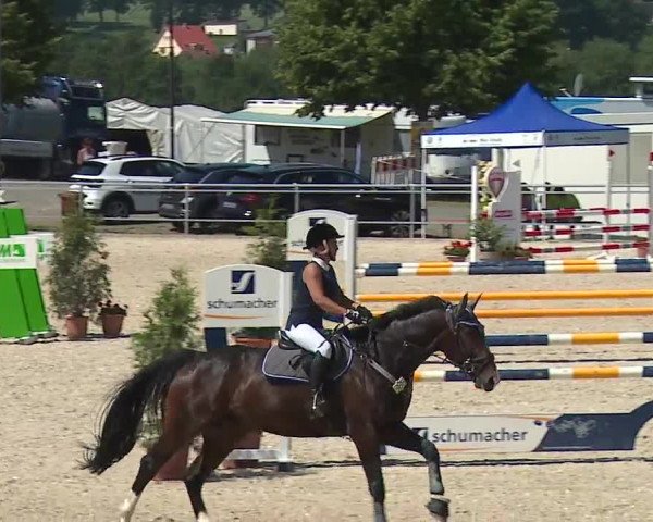Reitturnier Küps/Ofr. 2019