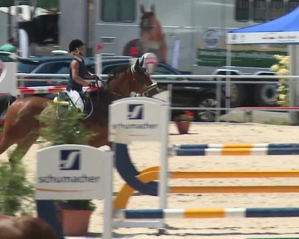 Reitturnier Küps/Ofr. 2019