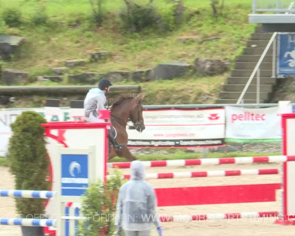 Reitturnier Plaffeien 2019