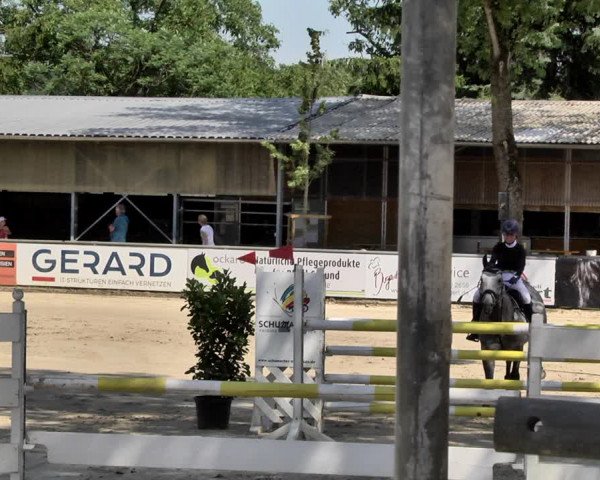 Reitturnier Viernheim 2019