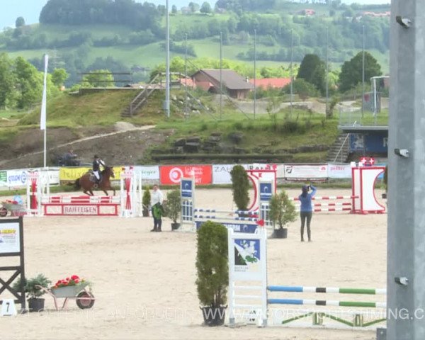Reitturnier Plaffeien 2019