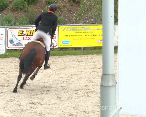 Reitturnier Plaffeien 2019