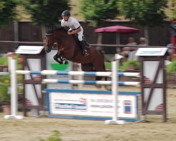 Reitturnier Schönfeld 2019