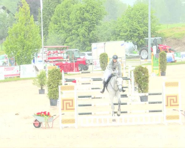 Reitturnier Plaffeien 2019