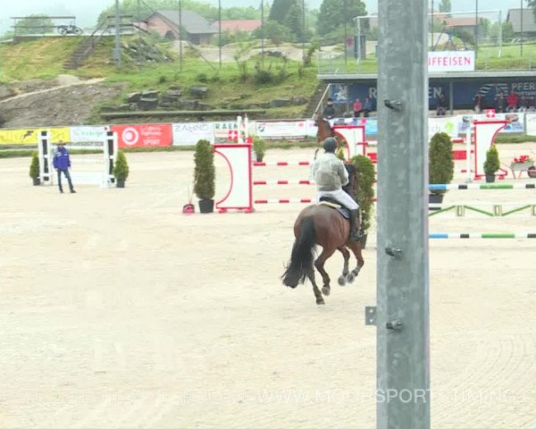 Reitturnier Plaffeien 2019