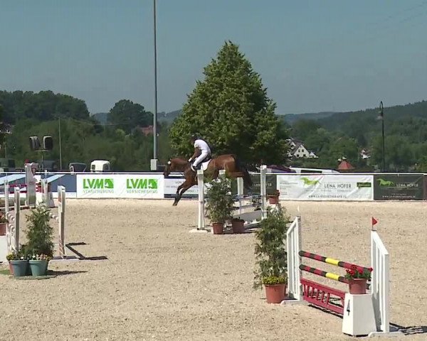 Reitturnier Küps/Ofr. 2019