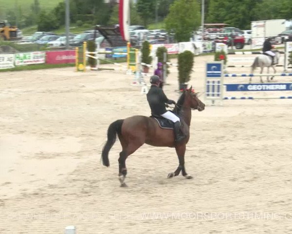 Reitturnier Plaffeien 2019