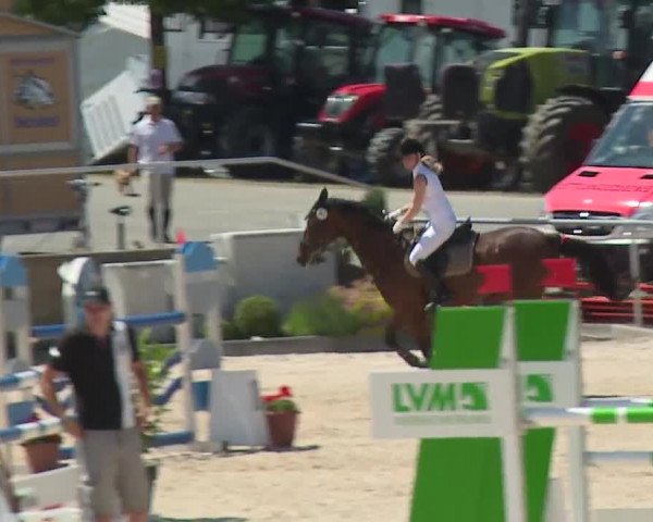 Reitturnier Küps/Ofr. 2019