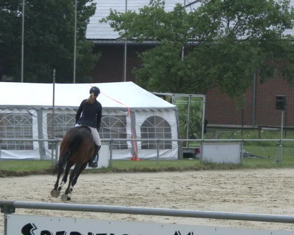 Reitturnier Coesfeld 2019