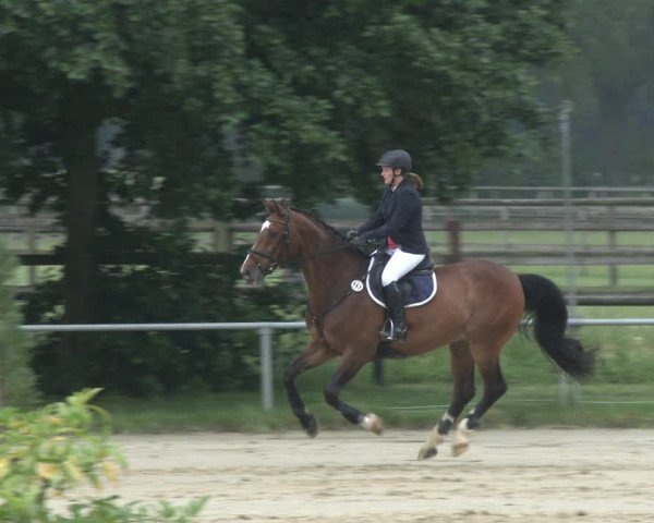 Reitturnier Coesfeld 2019