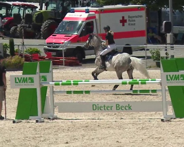 Reitturnier Küps/Ofr. 2019
