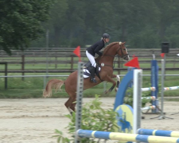 Reitturnier Coesfeld 2019
