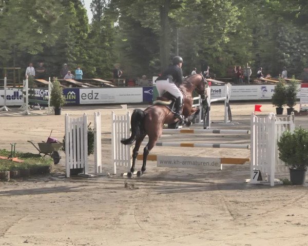 Reitturnier Viernheim 2019