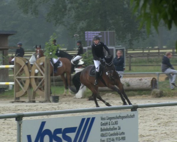 Reitturnier Coesfeld 2019