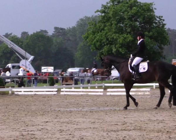 Reitturnier Coesfeld 2019