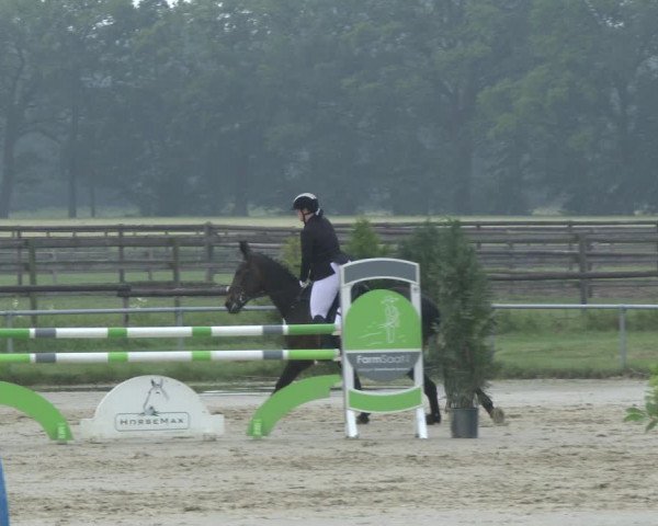 Reitturnier Coesfeld 2019