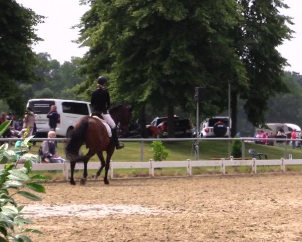 Reitturnier Coesfeld 2019