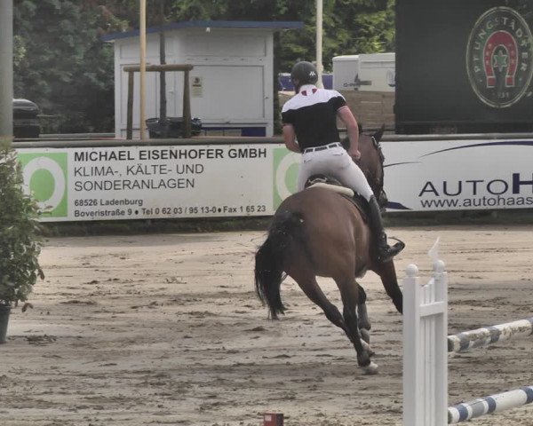 Reitturnier Viernheim 2019