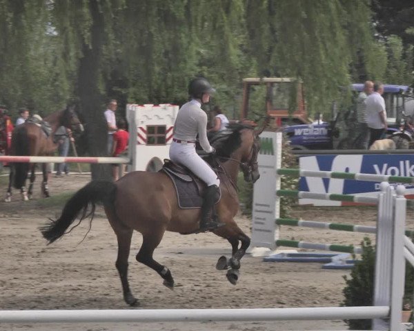 Reitturnier Viernheim 2019