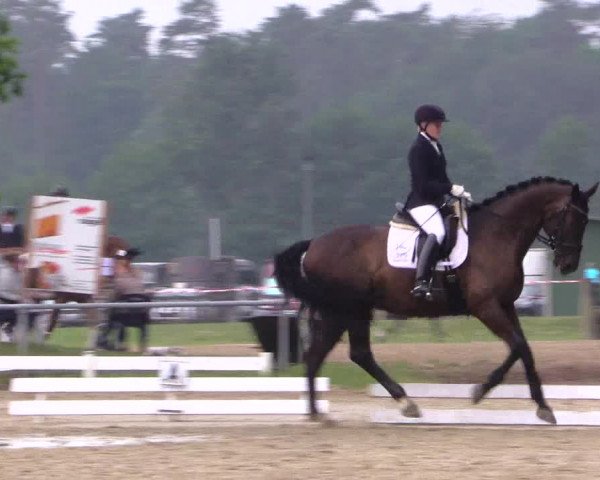 Reitturnier Coesfeld 2019