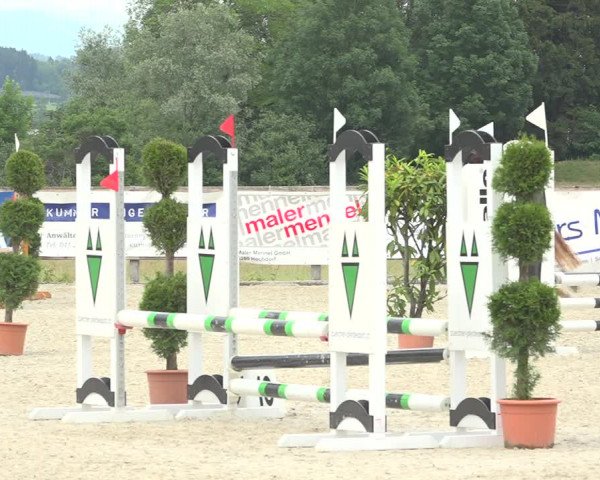 Reitturnier Hitzkirch 2019