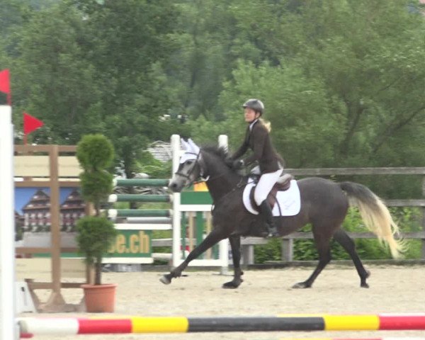Reitturnier Hitzkirch 2019