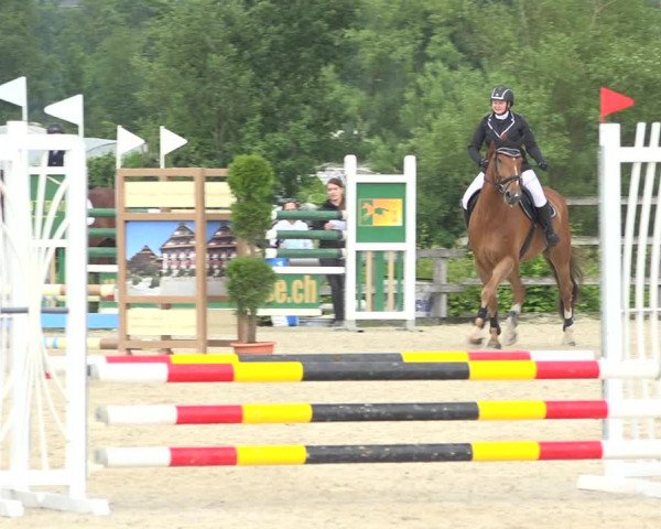 Reitturnier Hitzkirch 2019
