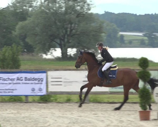 Reitturnier Hitzkirch 2019