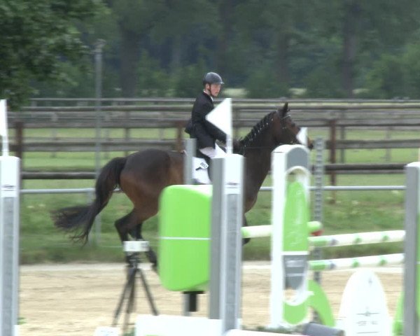 Reitturnier Coesfeld 2019