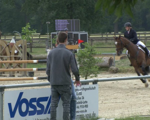Reitturnier Coesfeld 2019