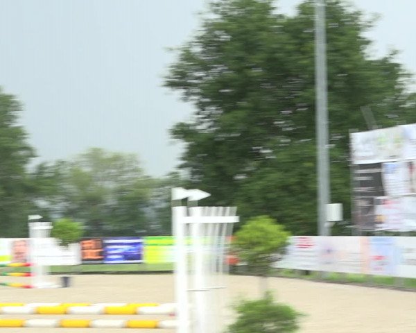 Reitturnier Hitzkirch 2019