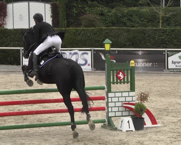 Reitturnier Durmersheim-Hardt 2021