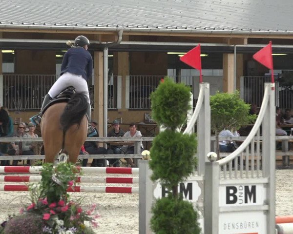 Reitturnier Hitzkirch 2019