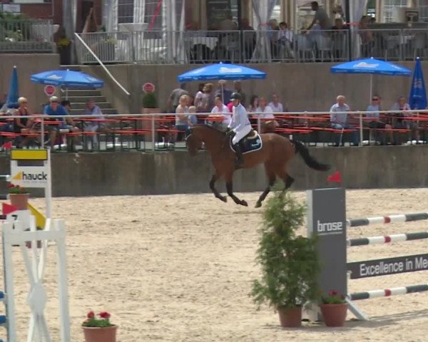 Reitturnier Küps/Ofr. 2019