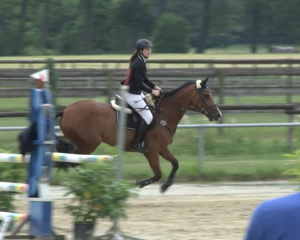 Reitturnier Coesfeld 2019