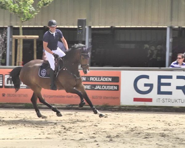 Reitturnier Viernheim 2019