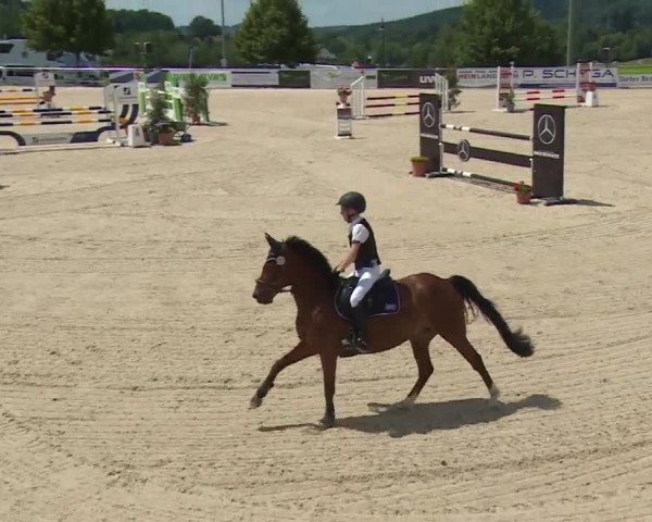 Reitturnier Küps/Ofr. 2019
