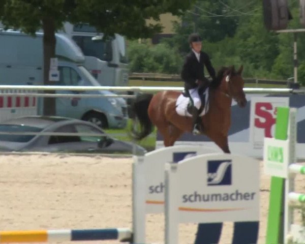 Reitturnier Küps/Ofr. 2019