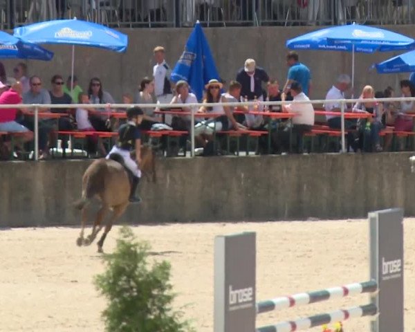 Reitturnier Küps/Ofr. 2019