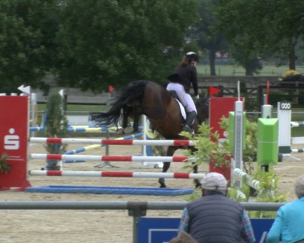 Reitturnier Coesfeld 2019