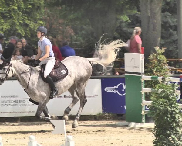 Reitturnier Viernheim 2019