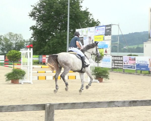 Reitturnier Hitzkirch 2019